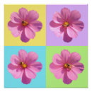 Suche nach cosmos poster Kosmos blume