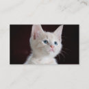 Suche nach schaffen sie ihre selbst visitenkarten Bild