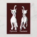 Suche nach freche katze postkarten Kätzchen