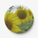 Suche nach sonnenblume teller Sommer