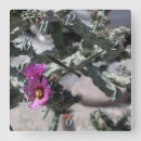 Suche nach frühlings blumen wanduhren Fotografie