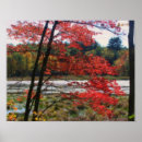 Suche nach effekt poster Baum