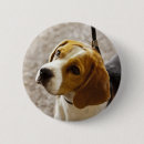 Suche nach jagdhund buttons Haustier