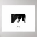 Suche nach weiße schwäne poster Tier