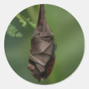 Suche nach blick aufkleber Grün