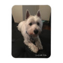 Suche nach westie magnete Hochland