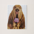 Suche nach jagdhunde puzzle Haustiere