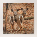 Suche nach herbstwald puzzle Natur