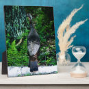 Suche nach farne fotoplatten Für sie