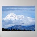 Suche nach denali poster Foto
