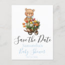Suche nach teddy postkarten Babydusche
