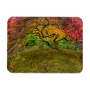 Suche nach japanischer baum karten Herbst