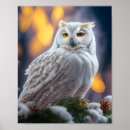 Suche nach schneeeulen poster Winter