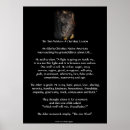 Suche nach zwei wölfe poster Two wolf story