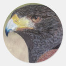 Suche nach falke aufkleber Raubvogel