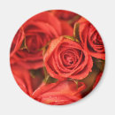 Suche nach orange ros magnete Elegant