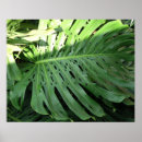 Suche nach ears poster Natur