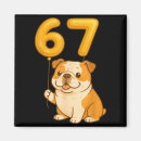 Suche nach englische bulldoggen magnete Lustig