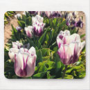 Suche nach weiße tulpen mousepads Frühling