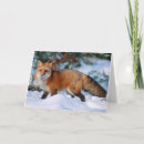 Suche nach montana alle karten Grenze danita