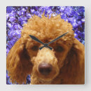 Suche nach dog wanduhren Pink