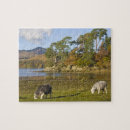 Suche nach lake district puzzle Herbst