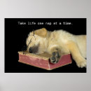 Suche nach golden retriever poster Kaninchen