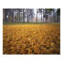 Suche nach spokane poster Baum
