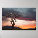 Suche nach afrikanischer sonnenuntergang poster Tier