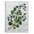 Suche nach veggie kleine notizbücher Rebstock