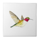 Suche nach kolibri fliesen Tier