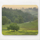Suche nach einzeln mousepads Blume