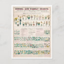 Suche nach übersicht postkarten Diagramm