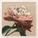 Suche nach rote rosen untersetzer Botanisch