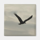 Suche nach geier magnete Vogel