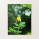 Suche nach gelbe rosen puzzle Botanisch