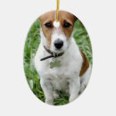 Suche nach jack russell ornamente Terrier