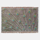 Suche nach pfau decken Vögel