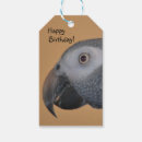 Suche nach grau papagei geschenkverpackung Haustier