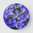 Suche nach osteospermum poster Natur