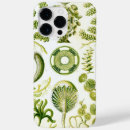 Suche nach haeckel iphone hüllen Biologie