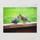 Suche nach lovebirds poster Natur