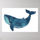 Suche nach blauwal poster Tier