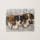 Suche nach welpe puzzle Natur