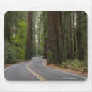 Suche nach straße mousepads Landschaft