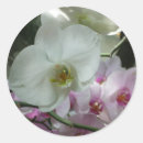 Suche nach lila orchidee aufkleber Orchideen