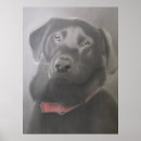 Suche nach labrador druck poster Haustier