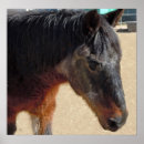 Suche nach ponys poster Western