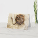 Suche nach trocken karten Fotografie