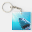Suche nach hai schlüsselanhänger Unterwasser
